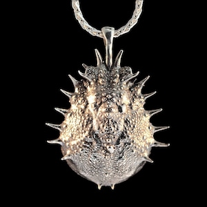カニジュエリー アドリア海カニ甲羅ペンダント カニペンダント クモガニの殻 貝殻ネックレス 海の生物 鋳造 海洋アート