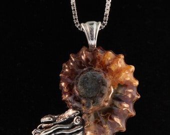 Colgante de concha de nautilus - Plata de ley - Collar de fósil de amonita genuino