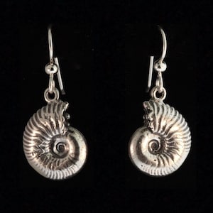 Può includere: Orecchini d'argento a forma di fossili di ammonite. Gli orecchini hanno un design dettagliato e una finitura lucida.