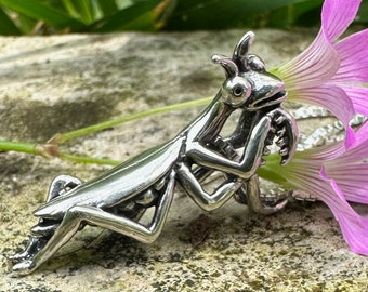 Pode incluir: Um colar de prata com um pingente de louva-a-deus e um fecho de flor rosa. O colar está em uma corrente de prata e está descansando sobre uma rocha.