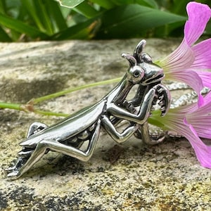 Praying Mantis Necklace Praying Mantis Jewelry Insect Jewelry Bug Jewelry Alien Bugs Sterling Silver Praying Mantis Insect Charms Silver Bug