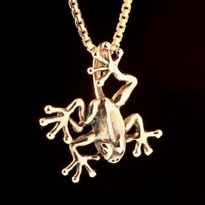 Kikker ketting gouden dierensieraden kikker bedel hanger jungle juweel boomkikker sieraden 14K gouden kikker Hawaii sieraden kleine kikker dierensieraden