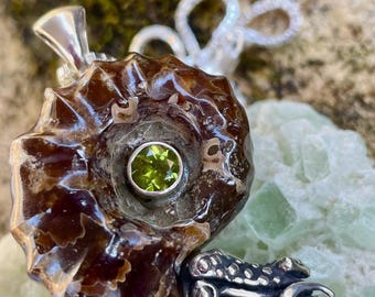 Collar de Nautilus de Amonita Fosilizada con Puntas y Piedra Preciosa - Plata de Ley - Tentáculos de Plata - Joyería Fossil