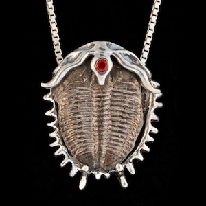 Trilobite Necklace Fossil Jewelry Ocean Life Necklace Trilobite Pendant Fossil Necklace Prehistoric Dinosaur Jewelry Geological Jewelry