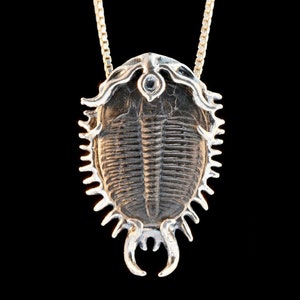 Colossal Spiked Trilobite Necklace Fossil Pendant Fossil Jewelry Ocean Jewelry Prehistoric Artifact Fossil Art Insect Jewelry Cyber Sale