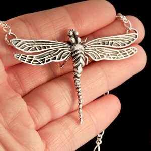 May include: A silver dragonfly pendant necklace with a detailed design. The dragonfly is suspended from a silver chain.