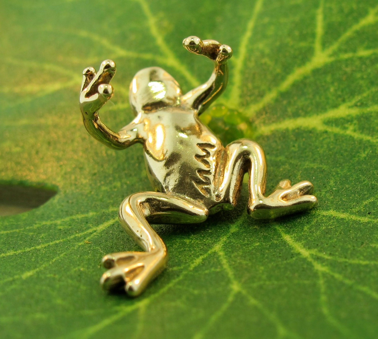 Frog Ear Cuff Bronze Frog Jewelry Frog Earring Non Etsy