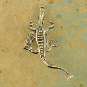 May include: A silver dragon pendant with outstretched wings and detailed scales. The dragon is depicted in a stylized, artistic manner, with a long tail and clawed feet. The pendant is likely made of sterling silver or a similar metal.
