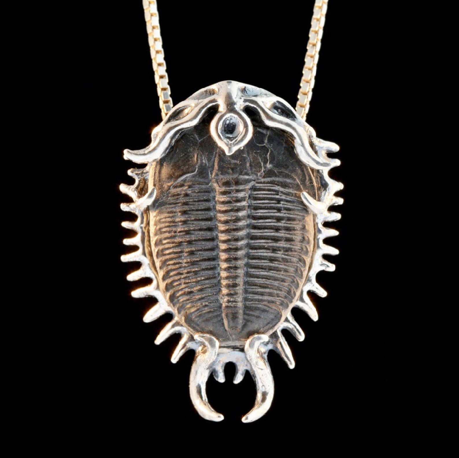 Colossal Spiked Trilobite Necklace Fossil Pendant Fossil | Etsy