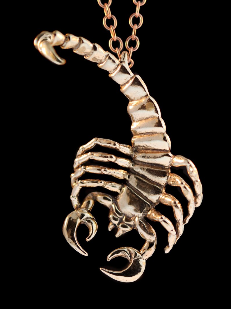 Scorpion Necklace Scorpio Astrology Jewelry Scorpion Pendant - Etsy