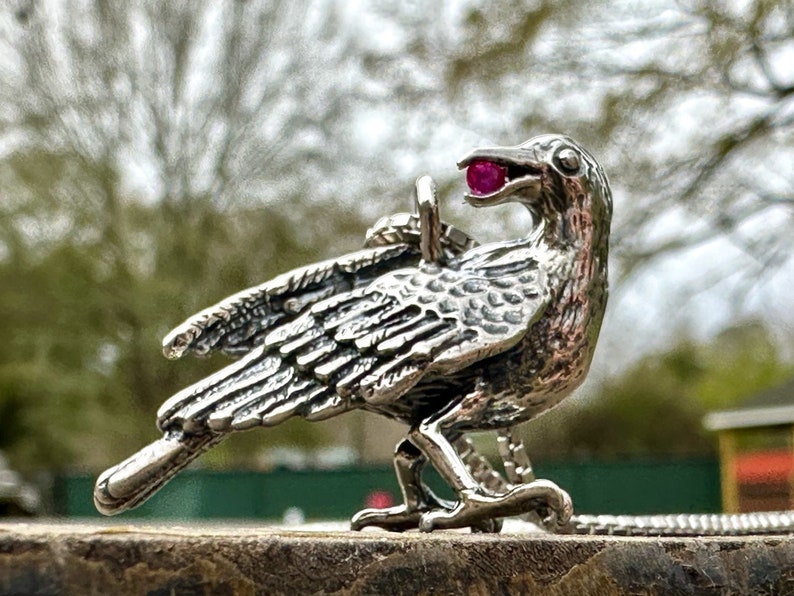 May include: A silver crow pendant with a red gemstone in its beak. The crow is perched on a silver chain.