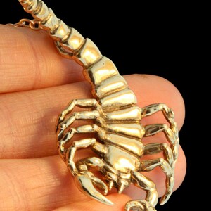 Puede incluir: Un colgante de escorpi&oacute;n de color dorado con una escultura detallada. El escorpi&oacute;n est&aacute; enroscado con la cola levantada y el aguij&oacute;n apuntando hacia adelante.