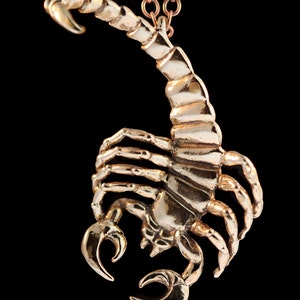 Puede incluir: Un collar con un colgante de escorpi&oacute;n dorado. El escorpi&oacute;n es detallado y tiene una cola enroscada.