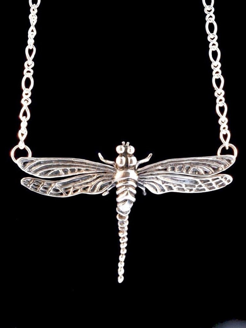 May include: A silver dragonfly pendant necklace with a detailed design. The dragonfly has intricate wings and a long, beaded tail.