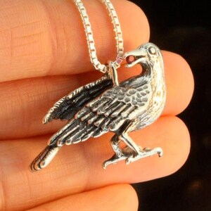 May include: A silver crow pendant with a red gemstone in its beak, hanging from a silver chain.