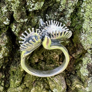 Op de afbeelding: Een zilveren ring met een ontwerp van twee gestileerde, driedimensionale Venusvliegenvallen. De ring wordt getoond op een mossige boomstam.
