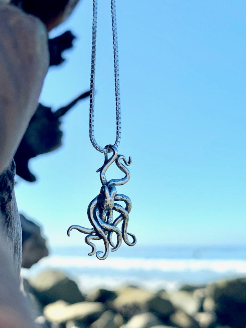 May include: A silver octopus pendant necklace hanging against a blurred background of a beach and ocean.