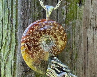 Fossilized Ammonite Nautilus Necklace with Jade Pattern - Sterling Silver -