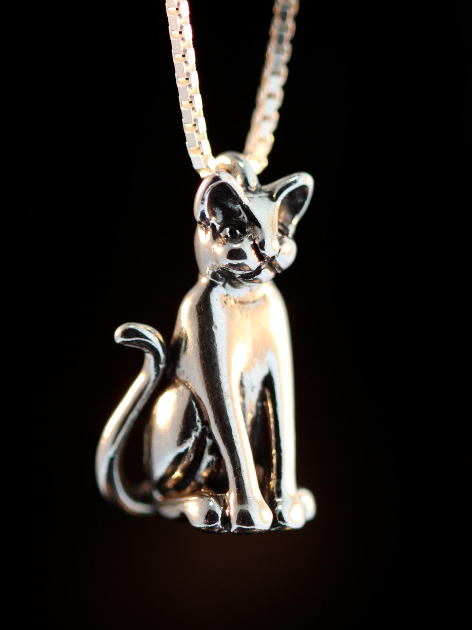 Silver Cat Necklace Cat Charm Magic Cat Charm Cat Pendant Etsy