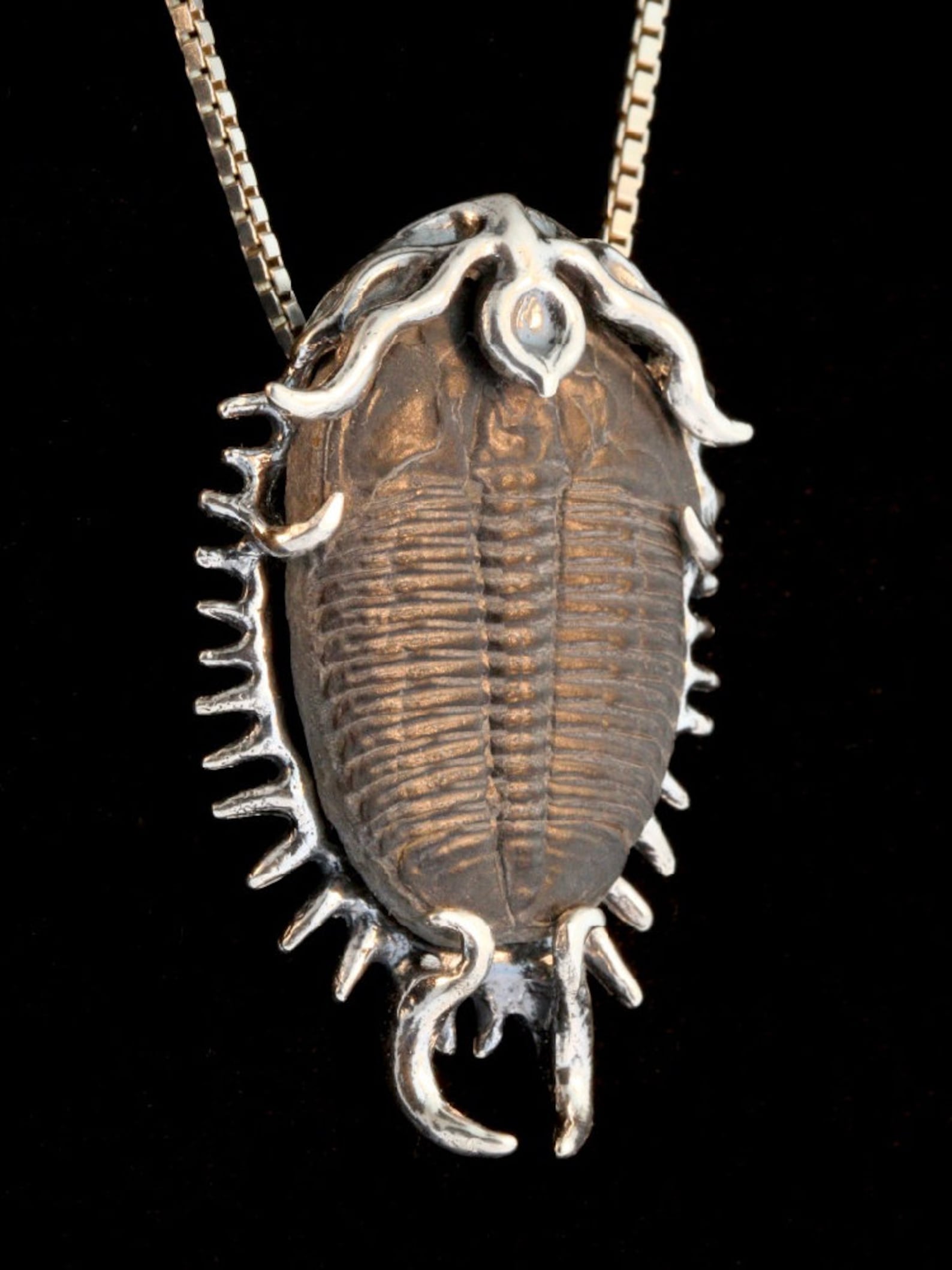 Colossal Spiked Trilobite Necklace Fossil Pendant Fossil | Etsy