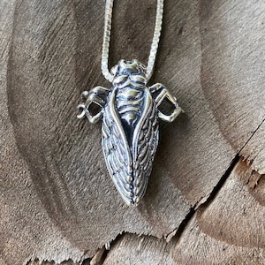 Silver Bug Necklace Cicada Necklace Brood X Cicadas Cicada Charm Insect Jewelry Insect Necklace Bug Art Cicada Invasion Beetles and Locusts