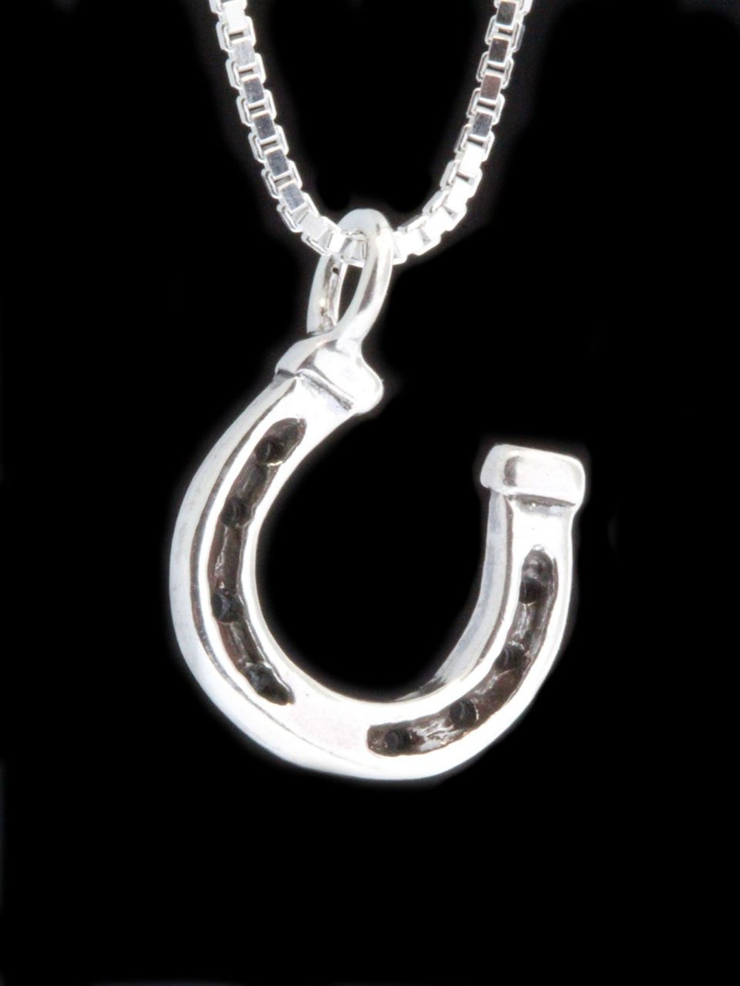 Horseshoe Necklace Horseshoe Charm Horseshoe Jewelry Good Luck