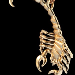 Puede incluir: Un collar con un colgante de escorpi&oacute;n de color dorado. El escorpi&oacute;n est&aacute; detallado y tiene una cola enroscada.