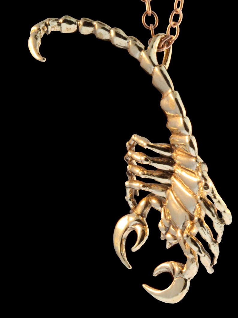 Puede incluir: Un collar con un colgante de escorpi&oacute;n de color dorado. El escorpi&oacute;n est&aacute; detallado y tiene una cola enroscada.