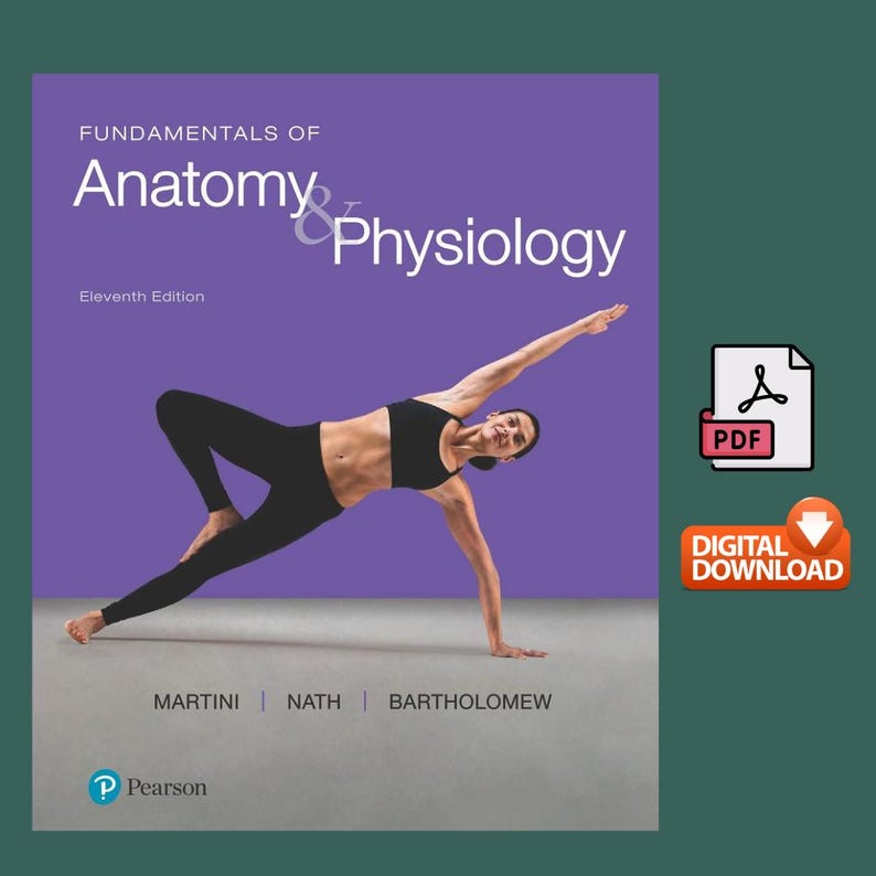 Fundamentals of Anatomy and Physiology 11th Edition Etsy