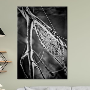 Op de afbeelding: Zwart-witfoto van een spinnenweb, ingewikkeld geweven en glinsterend met dauw, opgehangen tussen dunne takken. De afbeelding legt de delicate structuur en natuurlijke schoonheid van het web vast.