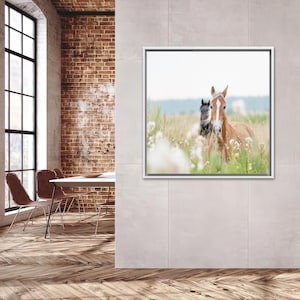 Geschenk für ihn, zwei Pferde Kunst Leinwand, Pferd Wandkunst, Küsten Leinwand Poster, Tier Poster, Baby Geschenk personalisiert, Schlafzimmer Dekor Kunst,