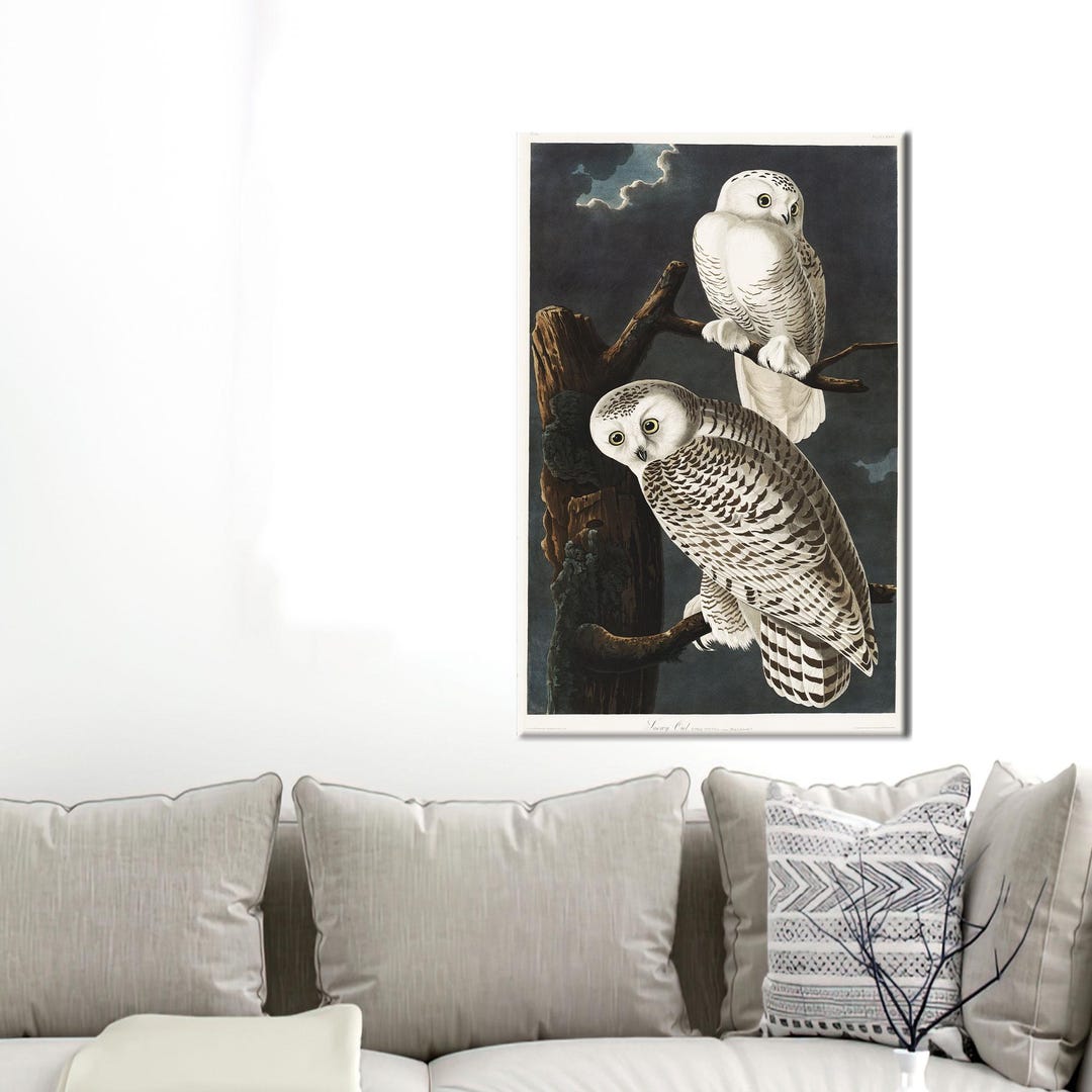 Snowy Owls Canvas Art, Famous Canvas Print, Home Decoration, Animal