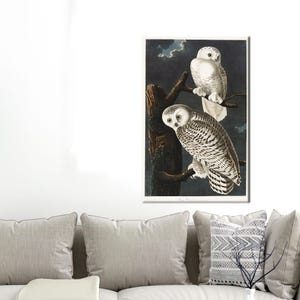 Schnee Eulen Leinwand Kunst, Berühmte Leinwand Druck, Dekoration, Tier Poster, Eule Leinwand Dekor, personalisierte Geschenkbox, Moderne Kunst Leinwand,