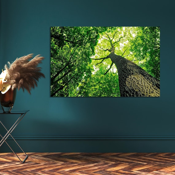 Visual Art Decor Leinwand-Wandbild – 5-teilig, Blaugrüne Baumlandschaft, 152x81 Cm, Gerahmt