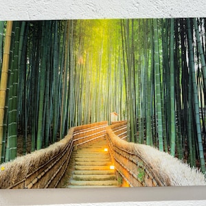 Kyoto Leinwand Kunst, Kyoto Landschaft, Bambus Wand Kunst, Bambus Landschaft, Wald Leinwand Dekor, Natur Popster Kunst, Naturlandschaft,