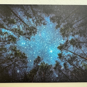 Nachthimmel Art Decor, Nachtansicht Leinwand, Waldlandschaft, Wald Wandkunst, Waldansicht Poster, Nachthimmel Poster Dekor, gerahmte Leinwandkunst