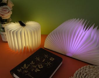 Personalized Night Light With Name, Customized Magnetic Cover Book Light, Unique Night Light, Home Decoration, Reading Light, Bedside Lamp