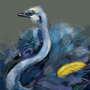 Ostrich with Big Bird Feather, Print, 8&quot;x8&quot;