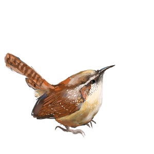 Wren Bird, Digital Art, Cottage Core, Gardener Gift, Bird Watcher Gift, 8&quot;x10&quot;
