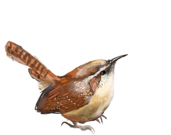 Wren Bird, Digital Art, Cottage Core, Gardener Gift, Bird Watcher Gift, 8"x10"