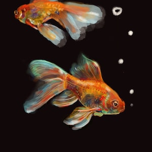 Goldfish at Night, print, 8&quot;x10&quot;