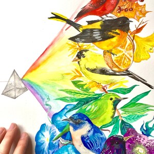 Rainbow of birds, Print, 8”x10”