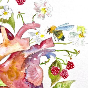 Anatomical Heart Giclee Print, Bees and Raspberry Art, Watercolor Painting, Garden Heart, Watercolor Heart 8x10 image 4