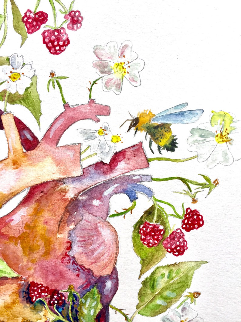 Anatomical Heart Giclee Print, Bees and Raspberry Art, Watercolor Painting, Garden Heart, Watercolor Heart 8x10 image 4