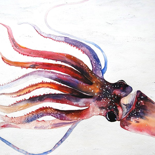 A Squid, Giclee print 8"x10"