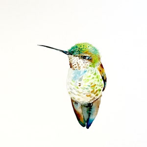 Impressão de beija-flor, impressão giclée, 8"x10"