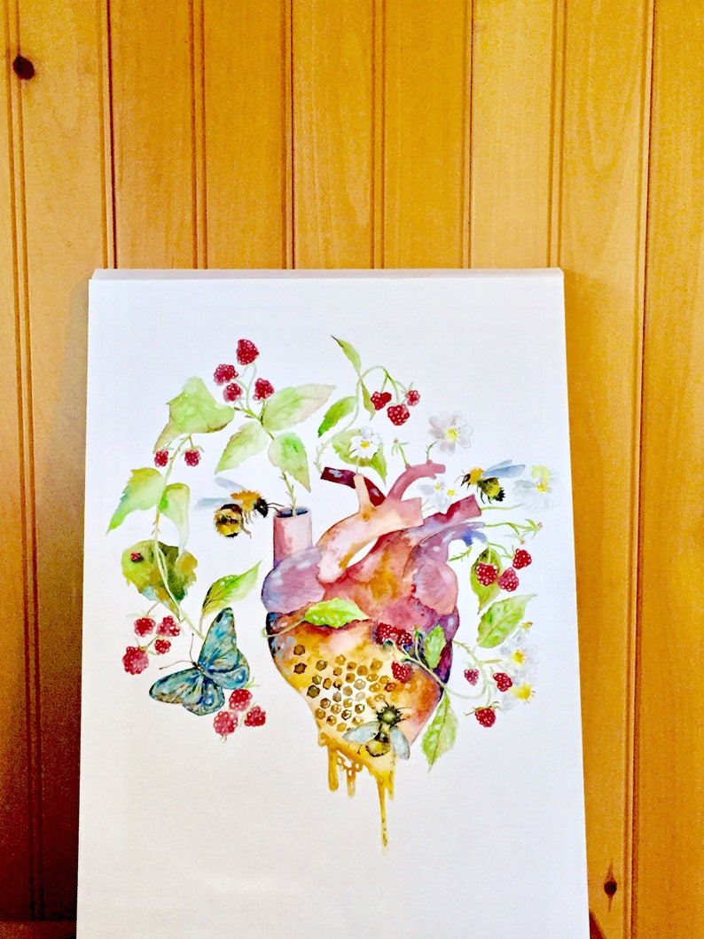 Anatomical Heart Giclee Print, Bees and Raspberry Art, Watercolor Painting, Garden Heart, Watercolor Heart 8x10 image 2