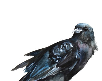 Watercolor Crow Print 8"x10", Giclee Archival Print