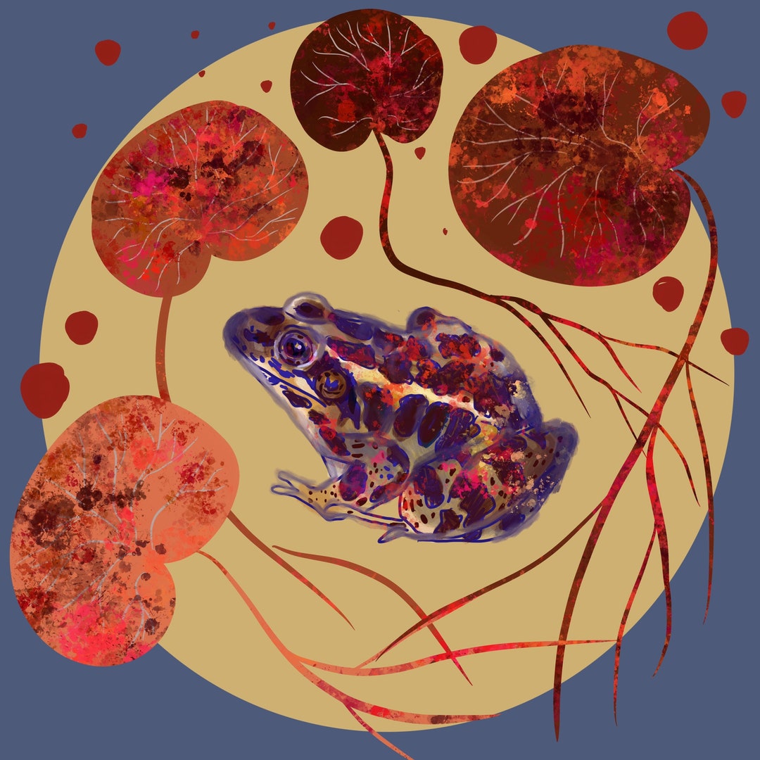 Frog and Lily Pad Art, Frog Art, Pond Aesthetic, Print 8x8 Etsy