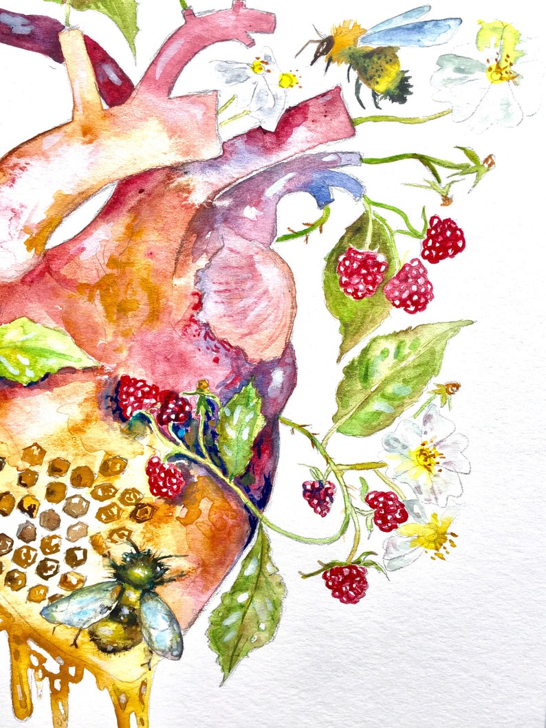 Anatomical Heart Giclee Print, Bees and Raspberry Art, Watercolor Painting, Garden Heart, Watercolor Heart 8x10 image 3